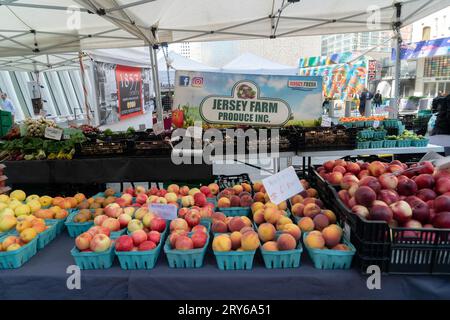 Auf einem Bauernmarkt im World Trade Center in Lower Manhattan werden neben anderen Produkten von einheimischen Bauern frisches Obst und Gemüse verkauft. Stockfoto