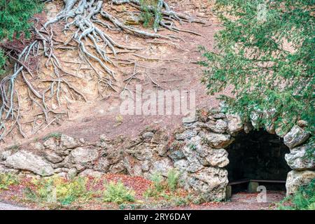 Schlangenartige Baumwurzeln in der Nähe des Serpentine Tunnels in Studley Royal Water Gardens, Fountains Abbey, Ripon, North Yorkshire, Großbritannien Stockfoto