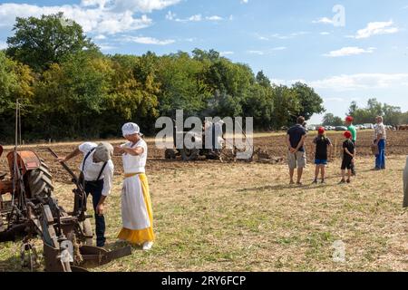 Wettbewerber auf dem Gebiet der traditionellen Landmaschinen, die in einem Pflügerwettbewerb stattfinden. Stockfoto