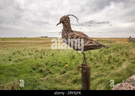 Gewebte Skulptur eines Vogels auf Holy Island, Lindisfarne, Northumberland. Stockfoto