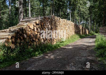 Ein riesiger Holzhaufen liegt am Straßenrand in einem Wald. Stockfoto