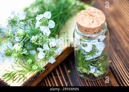 Nigella arvensis, Teufel im Busch, Liebe im Nebel in Holzmörtel, neben getrockneten Blumen in einem Medizingefäß mit Kork, aus dem schwarzes Kreuzkümmelöl hergestellt wird Stockfoto