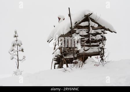 Selbstgebautes Holzspielhaus wie Märchenhaus unter Schnee im Wald Stockfoto