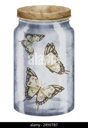 Schmetterlinge in einem Glas. Aquarelldarstellung von gefangenen Insekten mit braunen Flügeln in einer Flasche. Handgezeichnete Clip-Kunst der fliegenden Motte auf weißem isoliertem Hintergrund. Alte Druckzeichnung für Karten. Stockfoto