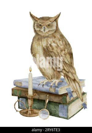 Kluge Eule auf einem Stapel Bücher. Aquarell-Illustration des Vogels als Symbol der Weisheit und des Wissens. Handgezeichneter Clipart auf isoliertem Hintergrund. Zeichnung von Schulbüchern mit Kerzenlicht. Stockfoto