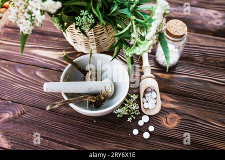 Valerian-Tabletten mit sedierenden Eigenschaften. Pharmazeutischer Becher mit Pillen auf einem Holztisch. Baldrianwurzel in einem Mörser für Herbalismus-Elixier kochen Stockfoto