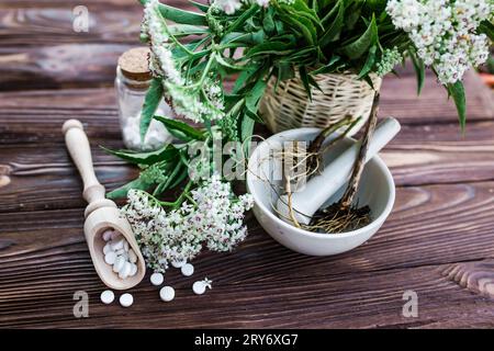 Valerian-Tabletten mit sedierenden Eigenschaften. Pharmazeutischer Becher mit Pillen auf einem Holztisch. Baldrianwurzel in einem Mörser für Herbalismus-Elixier kochen Stockfoto