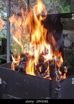 Holz in einem Brazier verbrennen. Zubereitung von Speisen auf dem Grill. Garten, Cottage, Landschaft. Stockfoto