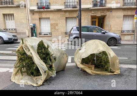 ENTSORGEN SIE IHREN WEIHNACHTSBAUM IN PARIS Stockfoto