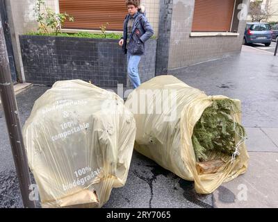 ENTSORGEN SIE IHREN WEIHNACHTSBAUM IN PARIS Stockfoto