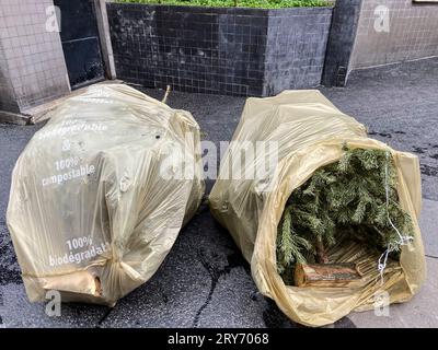 ENTSORGEN SIE IHREN WEIHNACHTSBAUM IN PARIS Stockfoto