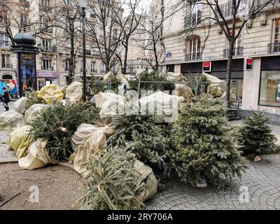 ENTSORGEN SIE IHREN WEIHNACHTSBAUM IN PARIS Stockfoto