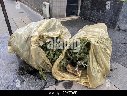 ENTSORGEN SIE IHREN WEIHNACHTSBAUM IN PARIS Stockfoto