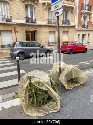 ENTSORGEN SIE IHREN WEIHNACHTSBAUM IN PARIS Stockfoto