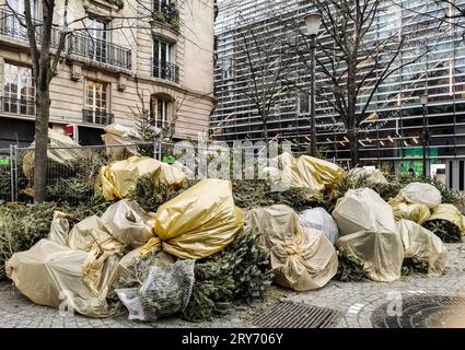 ENTSORGEN SIE IHREN WEIHNACHTSBAUM IN PARIS Stockfoto