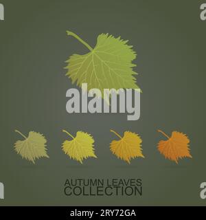 Blätter - der Herbst kommt Stock Vektor