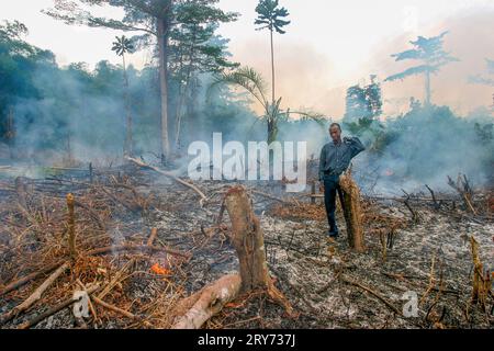 Ghana, Samreboi. Ein Landwirt sieht sich seine Arbeit des Slash and Burn in einem Teil des Regenwaldes an. Nach der Verbrennung wird er das Grundstück mit Mais und Pflanzen Stockfoto