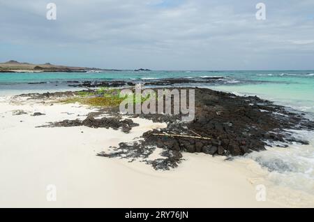 Fantastischer Strand auf den galapagos Inseln Stockfoto