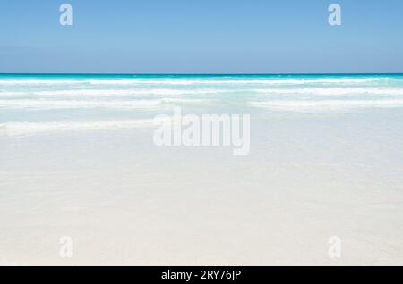 Fantastischer Strand auf den galapagos Inseln Stockfoto