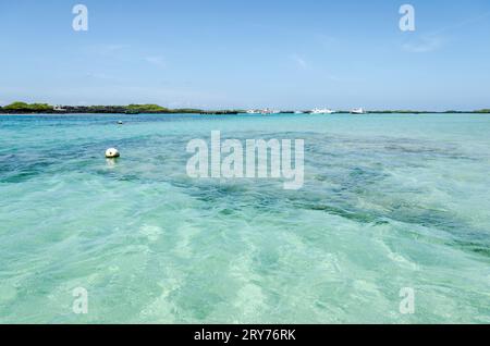 Klares Meerwasser auf den galapagos-Inseln Stockfoto