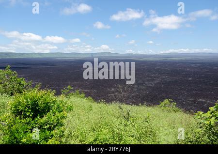 Fantastische vulkanische Landschaft auf den galapagos-Inseln Stockfoto