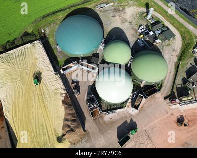 Herefordshire UK – Luftaufnahme der Tanks für anaerobe Abscheidersysteme in landwirtschaftlichen Betrieben mit Traktoren, die Maisschnitzel im September 2023 liefern Stockfoto