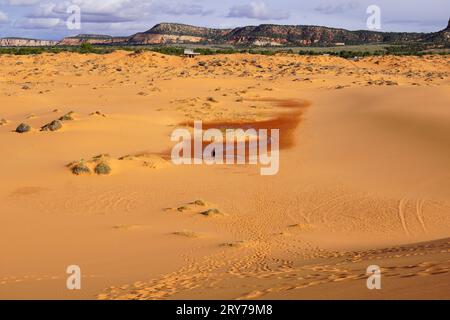 Touristen erkunden die rosa Korallensanddünen Stockfoto