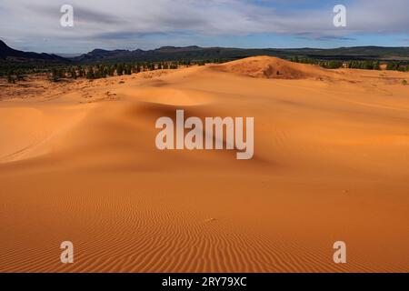 Sanddünen im Coral Pink Sand Dunes State Park Stockfoto