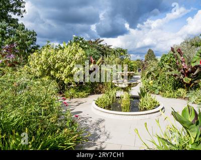 Der exotische Garten in Wisley Stockfoto