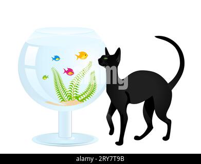 Die Katze spielt mit einem kleinen Fisch in einem Aquarium Stockfoto