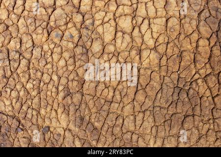 Gerissene und zerknitterte braune Textur, schwammige Konsistenz, weicher Fokus Nahaufnahme Stockfoto