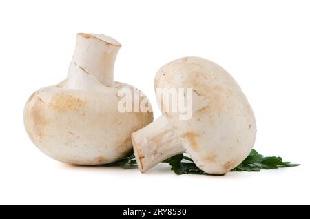 Champignon-Pilze und Petersilienblätter Stockfoto