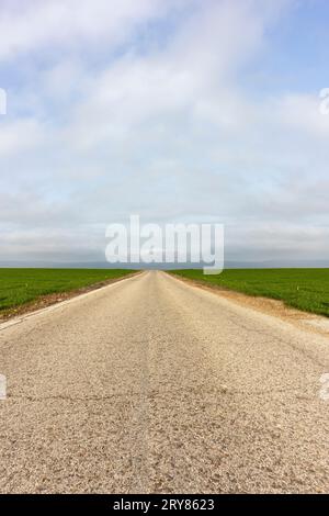 Blick auf endlose gerade Straße zwischen grünen Wiesen Stockfoto