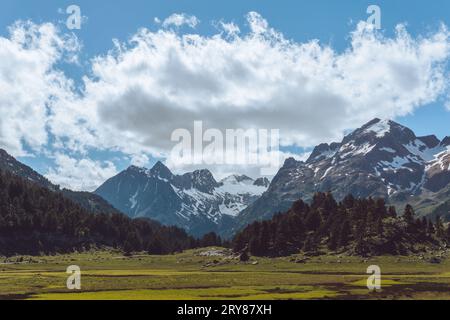 Blick auf den schneebedeckten Berg mit gelben Blumen in den spanischen Pyrenäen Stockfoto