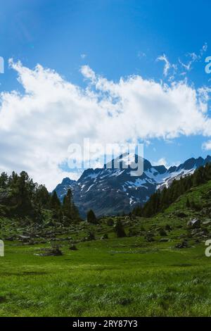 Blick auf den schneebedeckten Berg mit gelben Blumen in den spanischen Pyrenäen Stockfoto