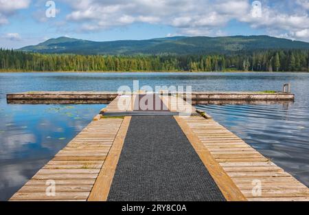 Maulwurf, Pier oder Holzdeck auf dem blauen See. Holzbrücke auf Waldsee im Sommer. See zum Angeln mit Pier. Holzpier am Wasser. Mo Stockfoto