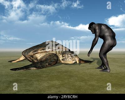 Homo Habilis - Menschliche Evolution Stockfoto