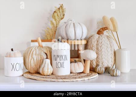 Herbstdekor im Boho-Stil mit Kürbissen und getrockneten Blumen und Kopierraum Stockfoto