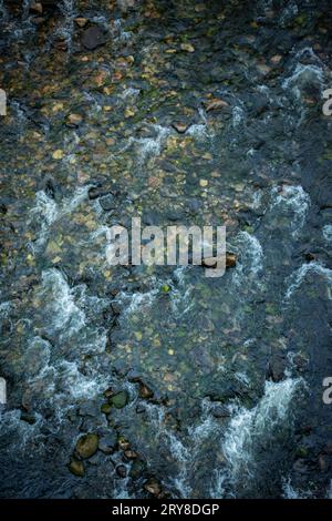 Fluss mit wenig Strom von klarem Wasser, mit Felsen, von oben gesehen, in dunklem Stil Stockfoto