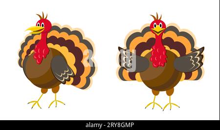 Türkei auf weißem Hintergrund Stock Vektor