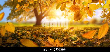 Herbstszene mit einem Baum im defokussierten Hintergrund und fallenden goldenen Blättern, nahe am Boden Stockfoto