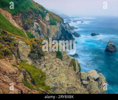 Coastal Fog, Garrapata State Park, Big Sur, Monterey County, Kalifornien Stockfoto