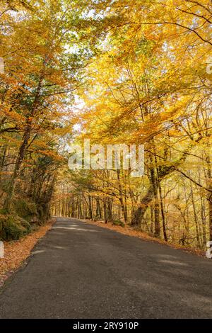 Herbst, Geres, Portugal Stockfoto