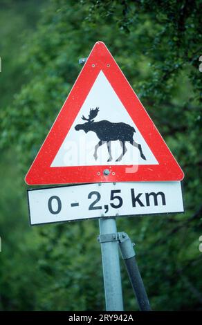 Straßenschild „Elch überquert die Straße“, Norwegen Stockfoto