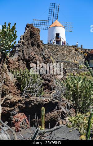 Blick auf die alte Windmühle von Guatiza am Rande des ehemaligen Steinbruchs, heute Kaktusgarten Jardin de Cactus, entworfen von Cesar Manrique, Kaktusgarten Jardin de Stockfoto