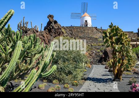 Blick durch die Kakteen (Kaktusgewächse) Kaktusbäume auf dem Weg und Treppen im Kaktusgarten Jardin de Cactus ehemaliger Steinbruch zur alten Windmühle von Guatiza Stockfoto