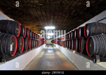 In den alten unterirdischen Kalksteingalerien des Weinguts Cricova in Cricova, Moldau, wurden Weinfässer gelagert Stockfoto
