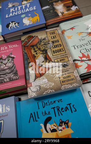 Barnes & Noble Booksellers auf der Fifth Avenue in New York City hat eine große Auswahl an Büchern und Zeitschriften, USA 2023 Stockfoto