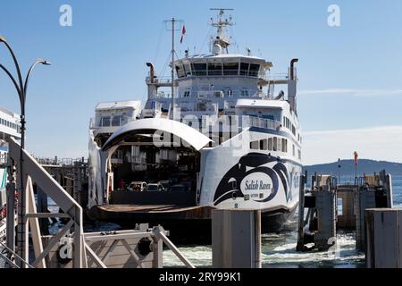 Der Salish Raven der 4.227 Ton BC Ferries nähert sich dem Swartz Bay Terminal auf Vancouver Island als Teil seiner Verbindung zu den südlichen Golfinseln in Stockfoto