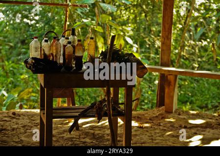Schamanenkabinett, Amazonas Regenwald, Peru Stockfoto